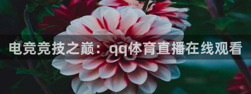 电竞竞技之巅：qq体育直播在线观看